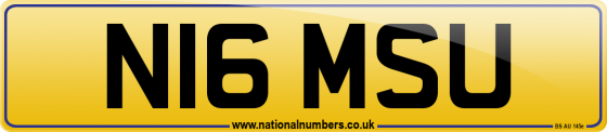 N16 MSU