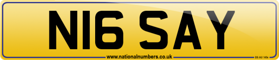 N16 SAY
