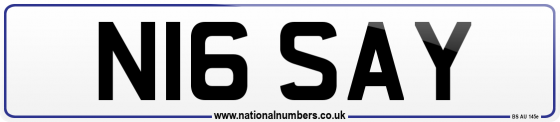 N16 SAY