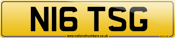 N16 TSG