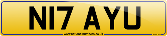 N17 AYU