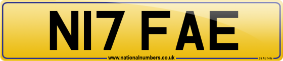 N17 FAE