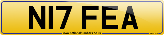 N17 FEA