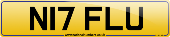 N17 FLU