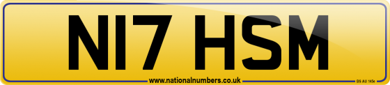 N17 HSM