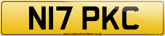 N17 PKC