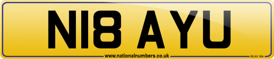 N18 AYU