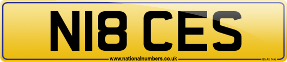 N18 CES