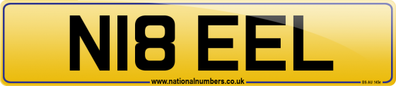 N18 EEL