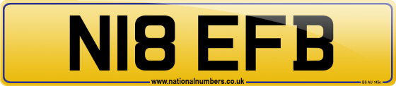 N18 EFB
