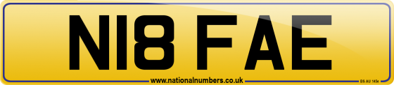 N18 FAE