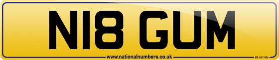 N18 GUM