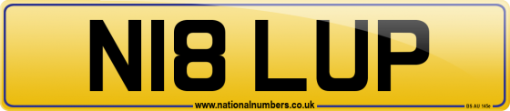 N18 LUP