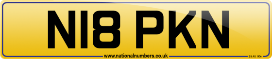 N18 PKN