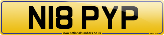 N18 PYP