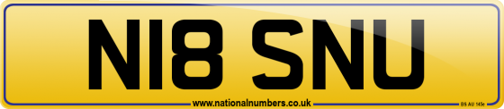 N18 SNU