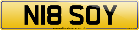 N18 SOY