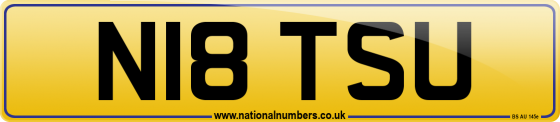 N18 TSU