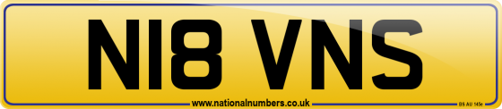 N18 VNS