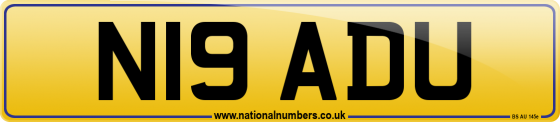 N19 ADU