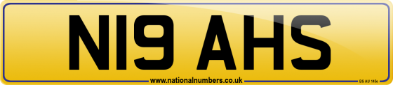 N19 AHS