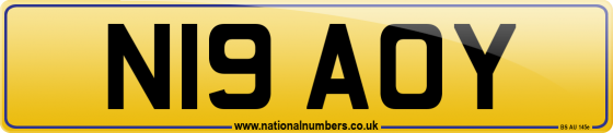 N19 AOY