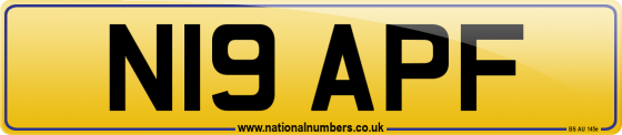 N19 APF