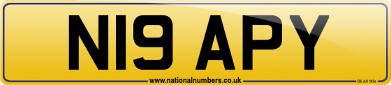 N19 APY