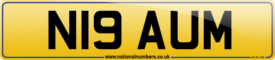 N19 AUM