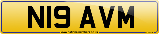 N19 AVM