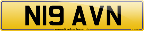 N19 AVN