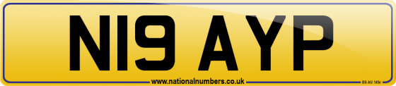 N19 AYP