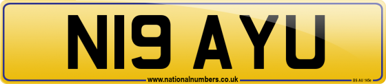 N19 AYU