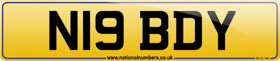 N19 BDY