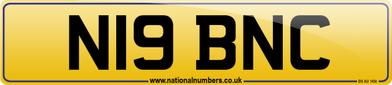 N19 BNC