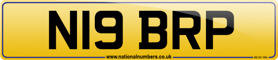 N19 BRP