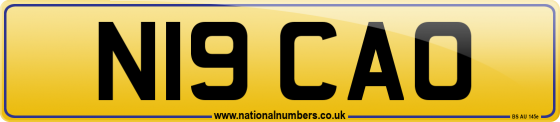 N19 CAO