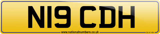 N19 CDH