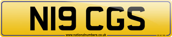 N19 CGS
