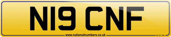 N19 CNF