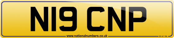 N19 CNP