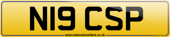 N19 CSP