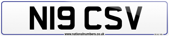 N19 CSV