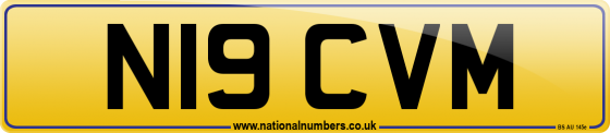 N19 CVM
