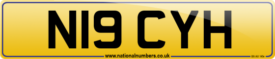 N19 CYH