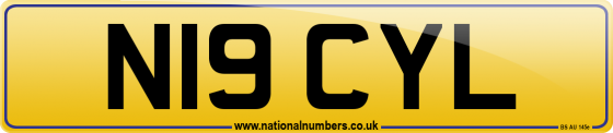 N19 CYL