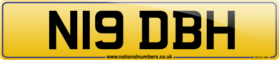 N19 DBH