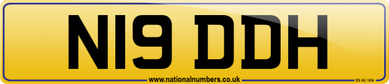 N19 DDH