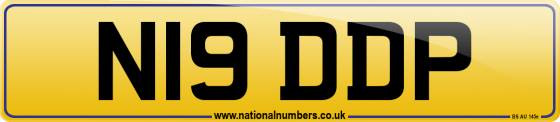 N19 DDP