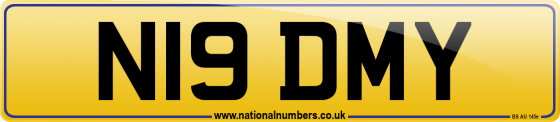 N19 DMY